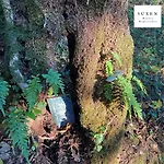 Suxen Nature Experience - Con Vista Panoramica Bed & Breakfast Prepotto (Udine)