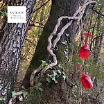 Bed & Breakfast Suxen Nature Experience - Con Vista Panoramica