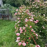 Suxen Nature Experience - Con Vista Panoramica Bed & Breakfast