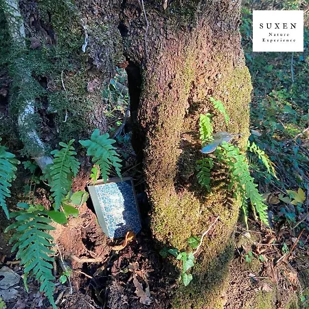 Suxen Nature Experience - Con Vista Panoramica Bed & Breakfast Prepotto (Udine)