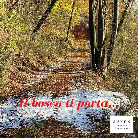 Suxen Nature Experience - Con Vista Panoramica Bed & Breakfast Prepotto (Udine)