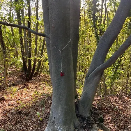 Suxen Nature Experience - Con Vista Panoramica Bed & Breakfast