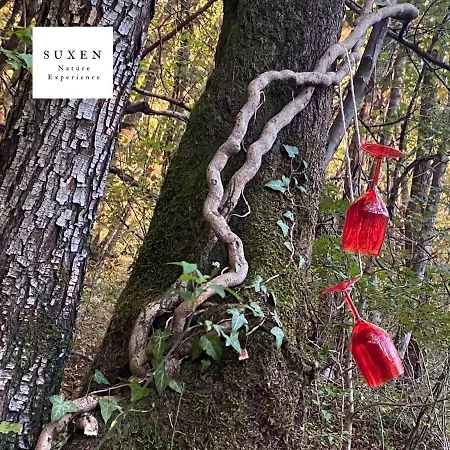 Bed & Breakfast Suxen Nature Experience - Con Vista Panoramica