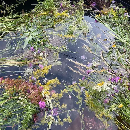 Suxen Nature Experience - Con Vista Panoramica Bed & Breakfast 3*