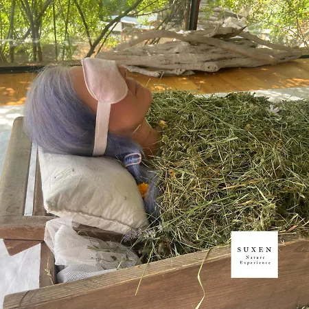 Suxen Nature Experience - Con Vista Panoramica Bed & Breakfast Prepotto (Udine)