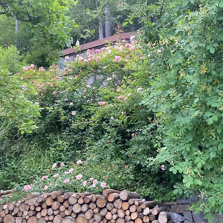 Suxen Nature Experience - Con Vista Panoramica Bed & Breakfast Prepotto (Udine)